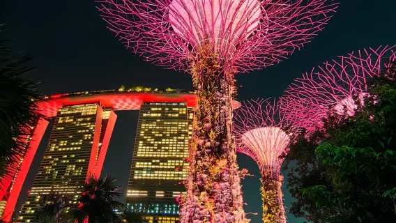 Tour nocturno por la ciudad del león: Bahía de Marina + Merlion + Chinatown + Muelle Clarke en Singapur con tour privado