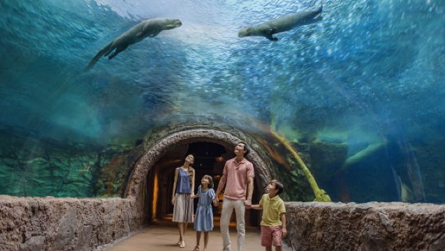 新加坡動物園+河川生態園一日遊【親子遊+酒店接送+行程可調】