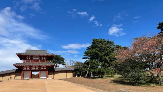日本仙台【包車一日遊】多賀城+鹽釜神社+松島尋古自由之旅