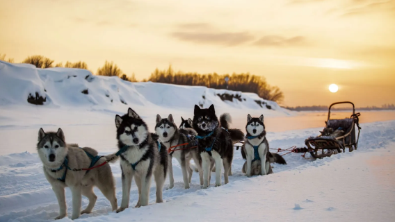 Мурманск, Россия - однодневный тур в Саамскую деревню туда и обратно|поездка в составе сборной группы/частный тур на выбор