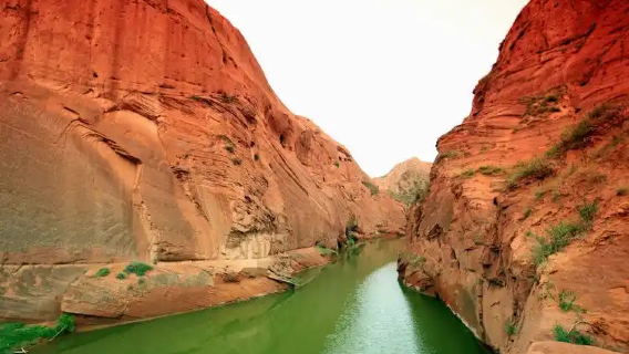 Eintägige chinesische Gruppenreise durch das Shaanxi Wave Valley: Begegne den Wundern der Erde!