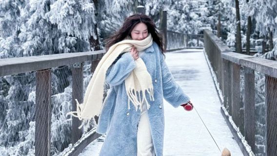 重慶-武隆一日旅遊活動【來回交通+仙女山門票+天生三橋門票+轉乘車費+導遊+午餐】