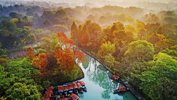 Vehículo comercial | Opción de guía en inglés | Salida desde Hangzhou: Humedal Xixi + Lago Xianghu