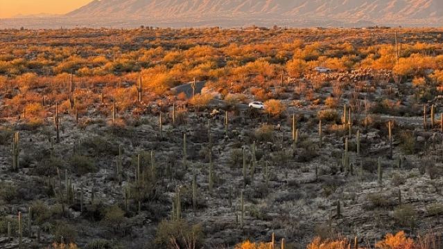 美國鳳凰城來回巨人柱國家公園-包車-精選