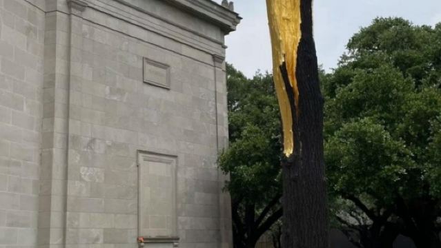 美國+休斯頓美術館+休斯頓太空中心一日遊/行程可調-可定制