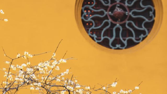 Live guide at Xiyuan Temple in Suzhou|West Garden Temple: Where Serenity Meets Splendor