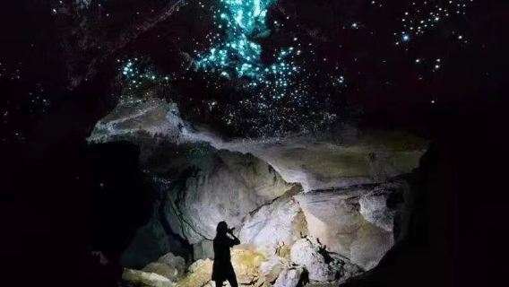 Percutian Australia Gold Coast Tanpa Tip: Lawatan Malam Kunang-Kunang Biru di Springbrook Natural Bridge, Hadiah Pemerhatian Bintang, Pilihan Sewaan Peribadi