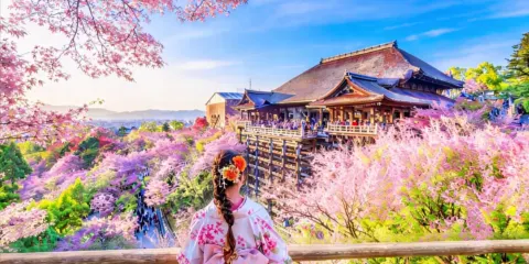 日本京都古建+萌鹿奈良公園+伏見稻荷大社一日遊