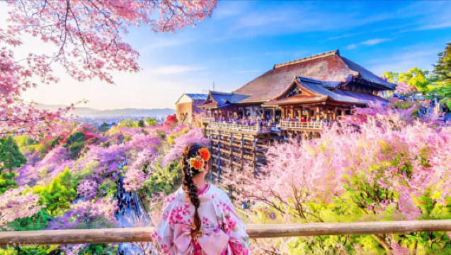 Excursión de un día en Kioto, Japón: Templo Kiyomizu-dera + Parque de Nara con adorables ciervos + Fushimi Inari-Taisha