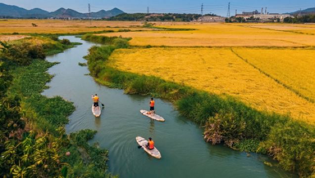 Stand Up Paddle Boarding e Osservazione del Tramonto sul Fiume Cai