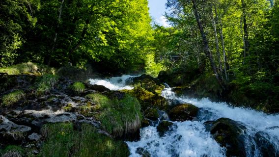 Berlepas dari Zurich | Tasik Brienz + Iseltwald + Air Terjun Giessbach