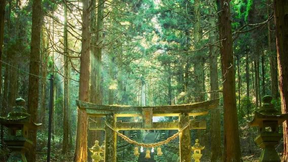 阿蘇山＋草千里＋上色見熊野座神社包車一日遊（中文司機）