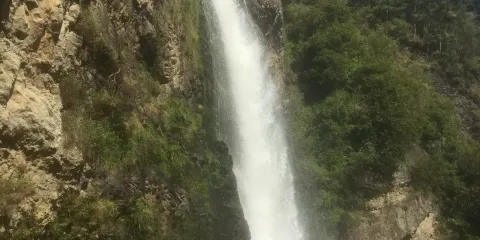 奧克蘭Hunua Falls+奧克蘭帆船俱樂部包車+不含票