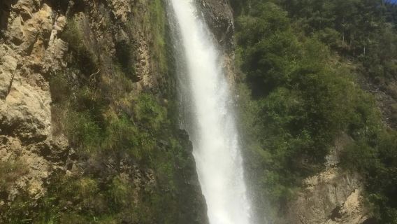 奧克蘭Hunua Falls＋奧克蘭帆船俱樂部包車＋不含票