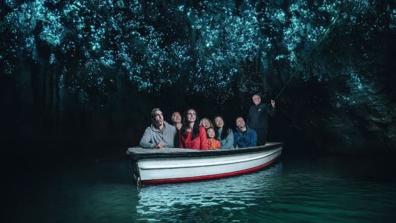 New Zealand Waikato gloworm grotte (undergrundsgalakse + bådtur på underjordisk flod + Waikato landemærke)