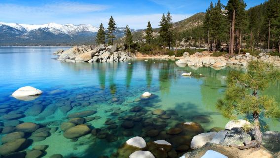 San Francisco pergi-balik, lawatan sehari Tasik Tahoe (perkhidmatan bahasa Cina, jadual boleh disesuaikan)
