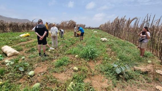 Boa Vista: Shell Beach, Goat Farm, Lighthouse, Vegetable Fields, and Villages