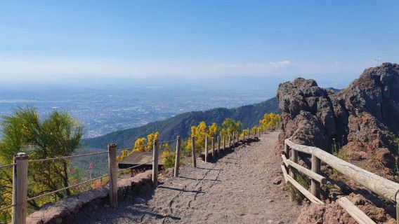 Vesuvius Skip-the-Line Ticket and Multilingual Audio Guide