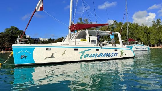 Island Vibes: Northern Isles Catamaran & Tropical BBQ