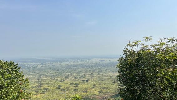 Kasese: Guided City, Community, Traditional, or Nature Walk