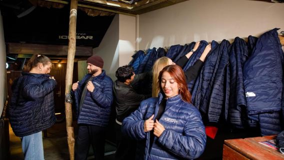 Amsterdam: 24-Hour Hop-On Hop-Off Boat and XtraCold Icebar