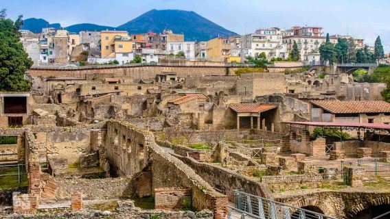 Herculaneum: Half-Day Guided Trip from Naples