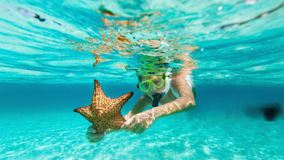 Dagstur i Phuket till Phi Phi-öarna + Maya Bay + Honeymoonön inklusive landningsavgift | Snorkling med långbåt