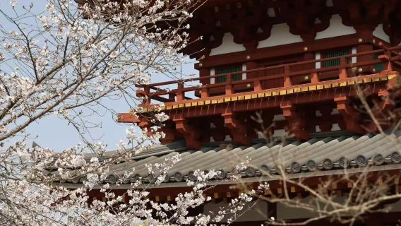 Kyoto private charter: Nara Park + Tōdai-ji + Uji + Byōdō-in + Fushimi Inari Taisha without admission ticket