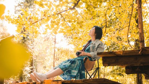 Lawatan sehari tulen ke Kampung Ginkgo Tengchong [2-6 orang + Gunung Berapi/Beihai/Hot Sea/Kolam Air Panas]