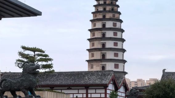 【芳華說】河北定州博物館講解半日遊 | 10人小團+含耳機