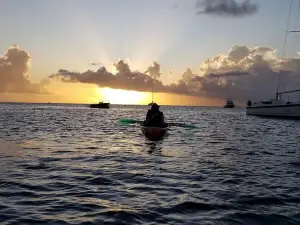 Sunset Turtle Spotting Clear Kayak Tour
