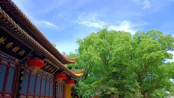 舟山日遊
