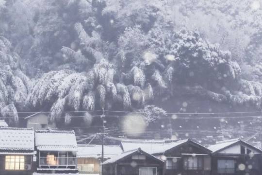 One-day tour of Amanohashidate + Chionji Temple + Ine Bay sightseeing boat tour in Kyoto, Japan