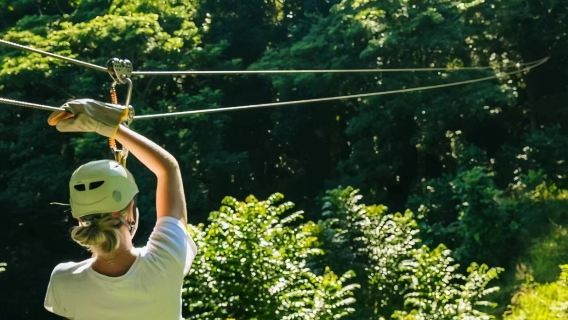 สวนแห่งยักษ์หลับ ฟิจิ|ซิปไลน์ 9 ซิปไลน์|รวมอาหารว่าง|หยิบ