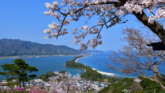 Chionji Temple + Amanohashidate + Kasamatsu Park Day tour including lunch