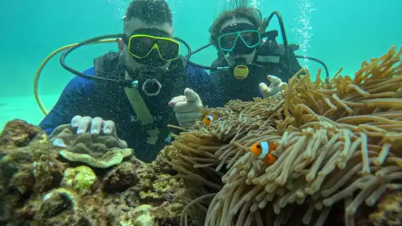 泰國普吉島蜜月島探索潛水水肺潛水4 小時