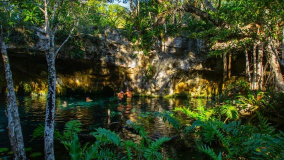 Percorso Tulum e 2 Cenotes: tour in bicicletta + pranzo