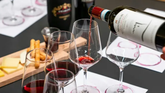 Verona: Experiência de Degustação de Vinhos na Cantine Giacomo Montresor