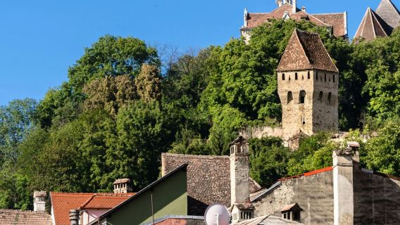 Wine Tasting in Sighișoara