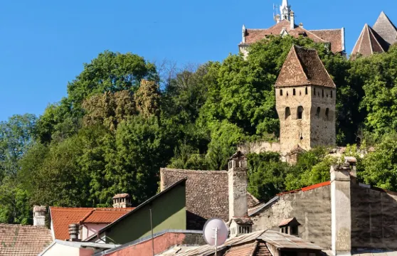 錫吉什瓦拉 (Sighișoara) 品酒體驗
