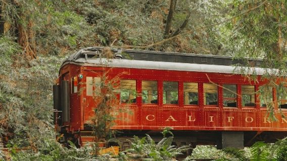 Skunk Train: Wolf Tree Turn