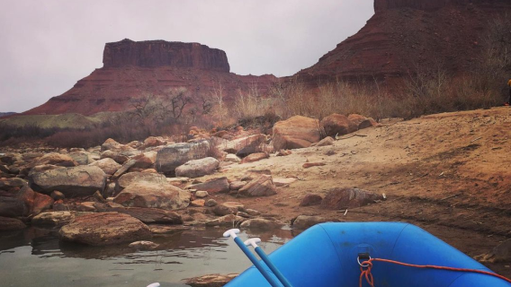 MoabTours