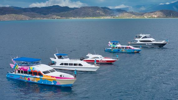 Labuan BajoTours