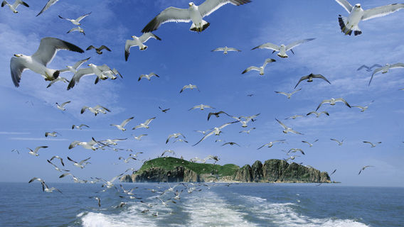 榮成日遊