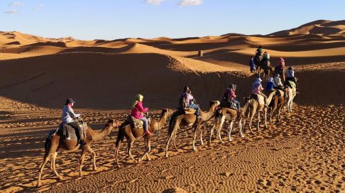 From Fujairah Safari: 4x4 Desert Safari with BBQ Dinner Day Tours 7