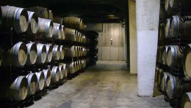 Wine and history tour in Requena