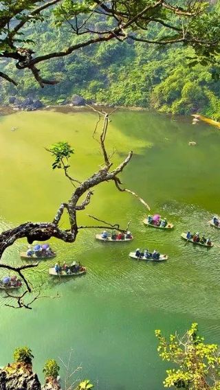 Ninh Binh Relaxing Private Day Tour:Bai Dinh-Trang An (English, Chinese, Japanese, Korean)