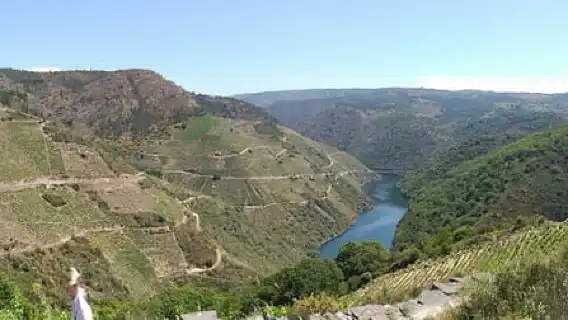 From Santiago: Ribeira Sacra History & Art Trip with Cruise