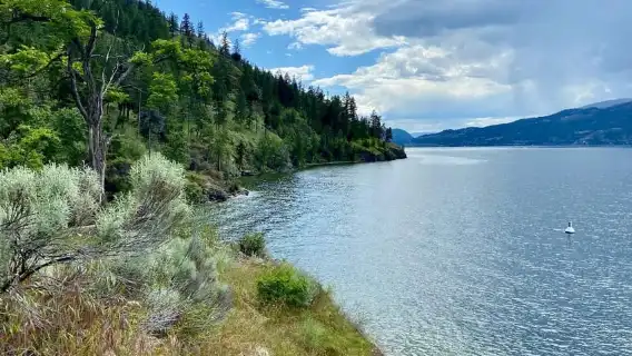 เคโลว์นา: ทัวร์จักรยานไฟฟ้าพร้อมไกด์ที่ทะเลสาบโอคานากันพร้อมปิกนิก