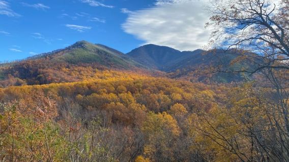 Gatlinburg: Great Smoky Mountains National Park Classic Tour